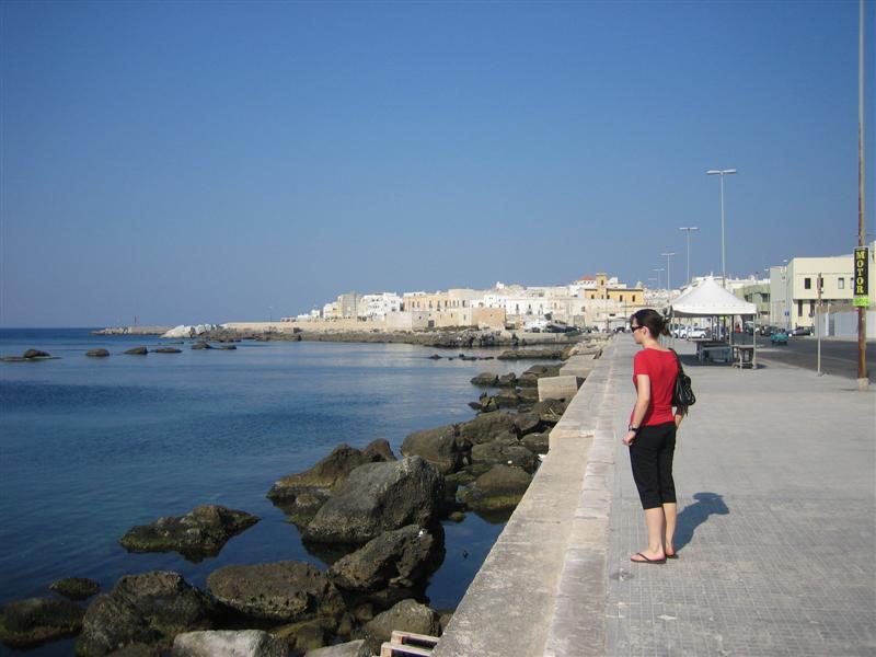 Gallipoli 8299